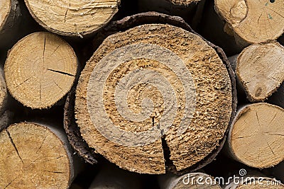 sawed tree trunks, sawed, wood, wood texture, natural, material, decor, logs, Stock Photo