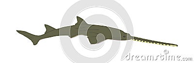 Sawfish or carpenter shark vector illustration isolated on white background. Saw shark graphic symbol. Saw fish predator. Cartoon Illustration