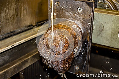 Sawing a meteorite on a machine using a diamond wire with water supply Stock Photo