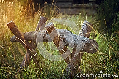 Sawing wood. Rural landscape on a background of green grass in the rays of the setting sun Stock Photo