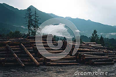 Sawmill. Process of woodworking plant. Consequences of the riot of the elements, hurricane. Rows of stacked logs. Outdoor Slowenia Stock Photo