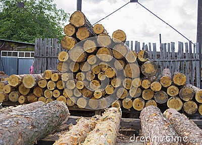 Sawmill. Warehouse timber stack of Logs of pine for sawing beams boards lumber Editorial Stock Photo