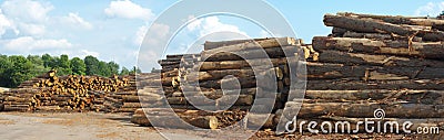 Sawmill yard logs woodpiles stacks Stock Photo