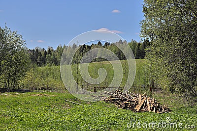 Sawn boards are stacked on the grass next to the tree Stock Photo