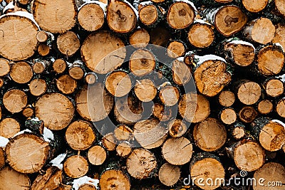 sawn logs in the forest stacked on top of each other Stock Photo