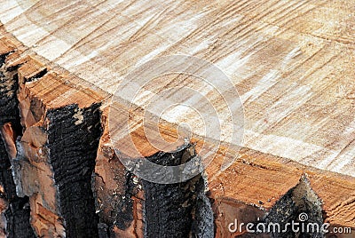 Sawn wood Stock Photo