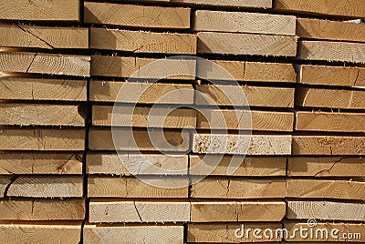 Sawn wood background Stock Photo