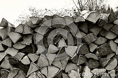 Sawn wood is stacked in woodpile. Wall of old wooden logs with cracked ends. Trees are visible in blurry sky background. Toned. Stock Photo