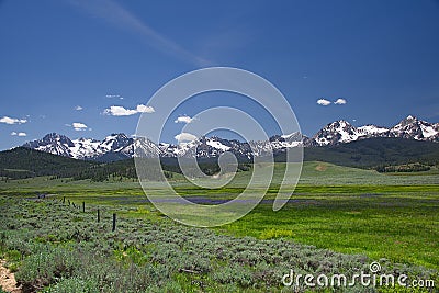 Sawtooth Mountains and Wildflowers 1939 Stock Photo