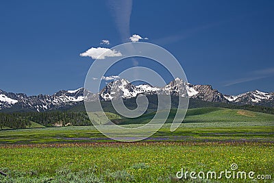 Sawtooth Mountains and Wildflowers 1930 Stock Photo