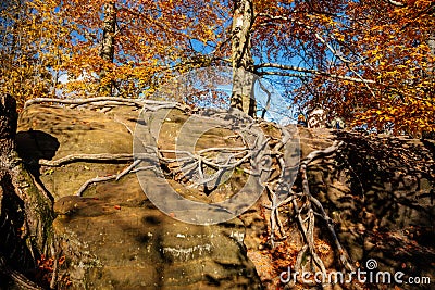 Saxon Switzerland National Park, Germany, 6 November 2021: Basteiaussicht or Bastei Rock Formations in Elbe River Valley, Stock Photo