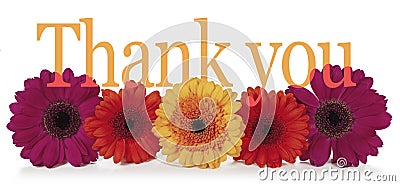 Saying Thank You with Flowers Stock Photo