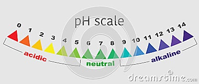 Scale of ph value for acid and alkaline solutions, vector isolated Vector Illustration