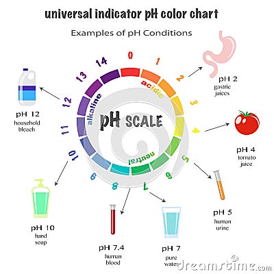 Scale of ph value for acid and alkaline solutions Vector Illustration