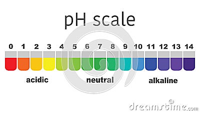 Scale of ph value for acid and alkaline solutions Vector Illustration