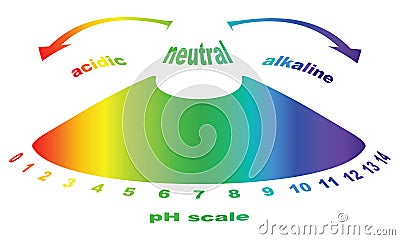 Scale of ph value for acid and alkaline solutions Vector Illustration