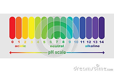 Scale of ph value for acid and alkaline solutions, Vector Illustration