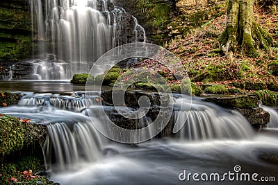 Scaleber Force falls Stock Photo