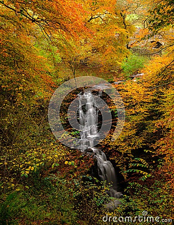 Autumn at Scaleber Force near Settle, North Yorkshire Stock Photo