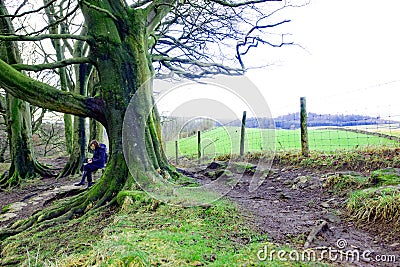 Scrolling on a winter walk at Scaleber Foss, North Yorkshire. Stock Photo