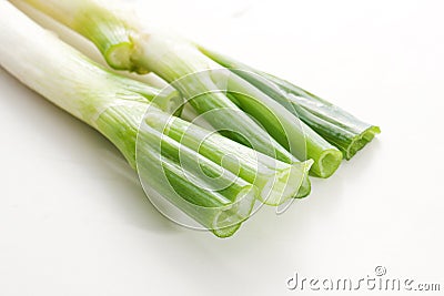 Scallion Stock Photo