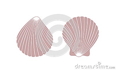 Scallop logo. Isolated scallop on white background Vector Illustration