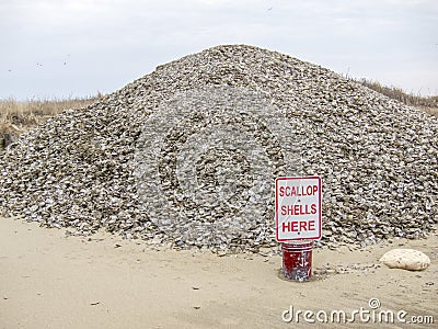 Scallop Shell dump in Nantucket Stock Photo