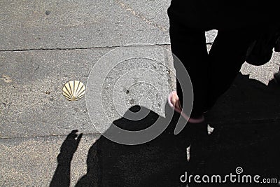 Scallop shell, iconic symbols of the Camino de Santiago pilgrimage in Spain Stock Photo