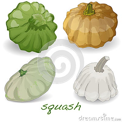 Scalloped custard squash vector Vector Illustration