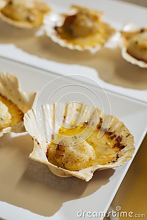Scallops au gratin are a tasty and refined seafood appetizer, perfect for special and festive occasions. It is a simple Stock Photo