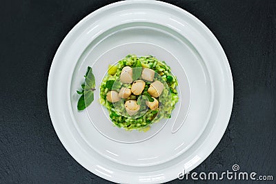 Scallops on minted pea risotto - top view Stock Photo