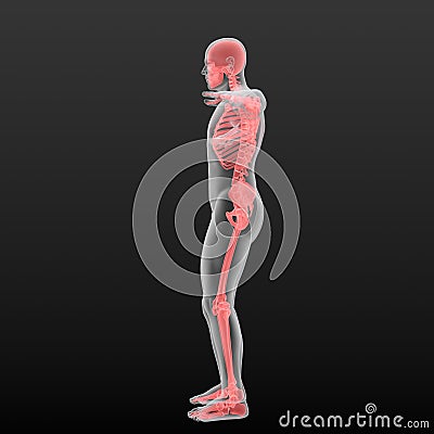 Scan of an human body. Sore bones Cartoon Illustration