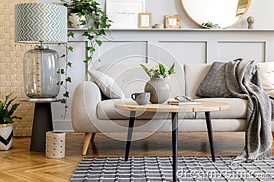 Scandinavian concept of living room interior with design sofa, coffee table, plant in pot, lamp, carpet, plaid, pillow, shelf. Stock Photo