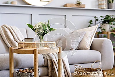 Scandinavian living room interior with design grey sofa, wooden coffee table, plants, shelf, spring flowers in vase, decoration. Stock Photo