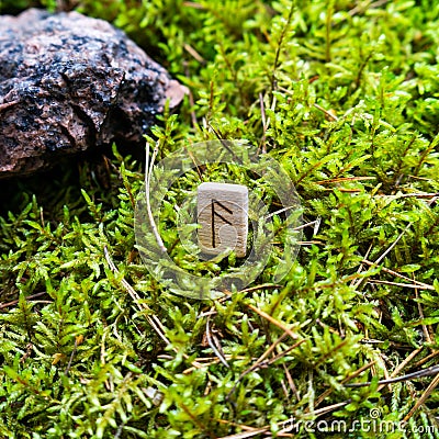 Scandinavian rune Algiz word, advice, on wet moss. Stock Photo
