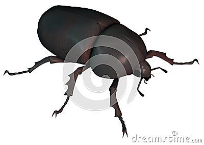 Scarab beetle Stock Photo