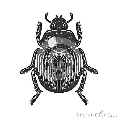 Scarab beetle engraving vector illustration Vector Illustration