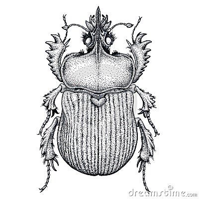 Scarab beetle tattoo. Dot work tattoo. Insect. Symbol of eternal life, resurrection, revival Vector Illustration