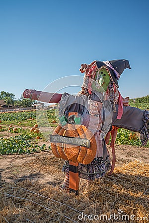 Scare crow Stock Photo