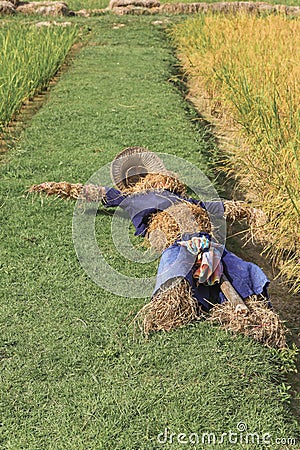 Scarecrow Stock Photo