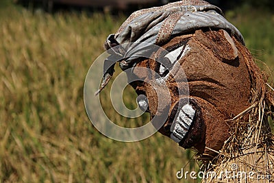 Scarecrow Stock Photo