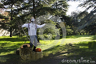A scarecrow take caring the grow Stock Photo