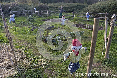 Scarecrow in a vegetable garden Stock Photo