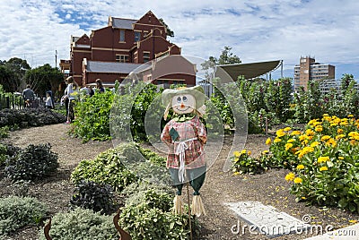 Scarecrow and Visitors in the Kitchen Garden, Adelaide Botanic G Editorial Stock Photo