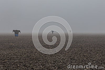 Scarecrows in misty farmland Stock Photo