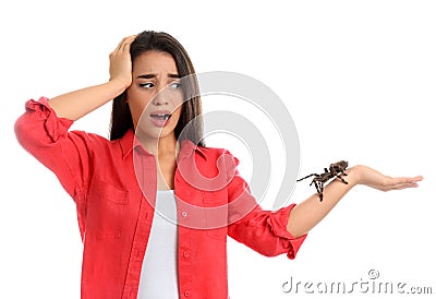 Scared young woman with tarantula on background. Arachnophobia fear of spiders Stock Photo