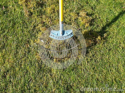 Scarifying grass lawn Stock Photo