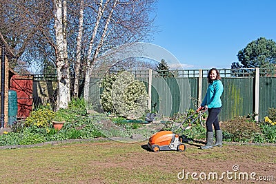 Scarifying a lawn damaged by chaffer grubs, in the Spring and Summer, of 2021, 2. Stock Photo