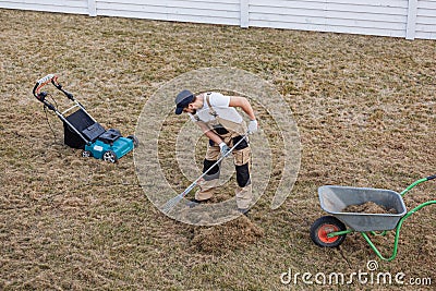 Scarifying lawn with rake and scarifier, Man gardener scarifies the lawn and removal of old grass Stock Photo