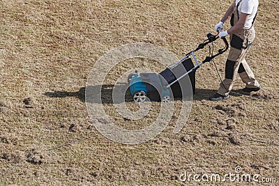 Scarifying lawn with scarifier, Man gardener scarifies the lawn and removal of old grass Stock Photo